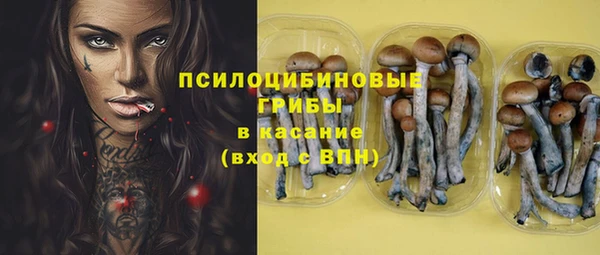 бутират Алзамай