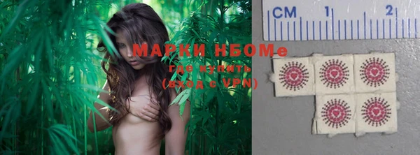 дурь Алексин