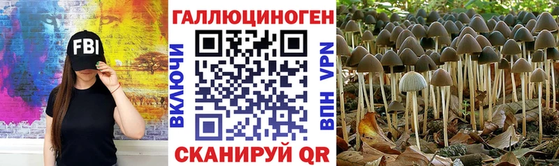 Галлюциногенные грибы GOLDEN TEACHER  наркошоп  Грайворон 