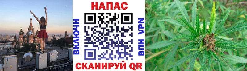 Бошки марихуана план  Грайворон 